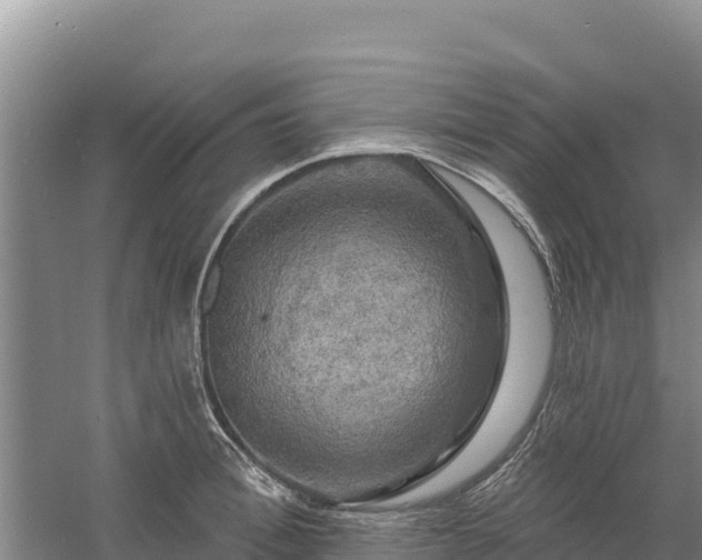 X0000058140996200509302014