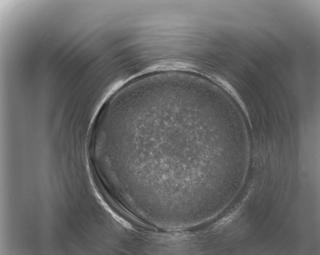 X0000058140997200509302014