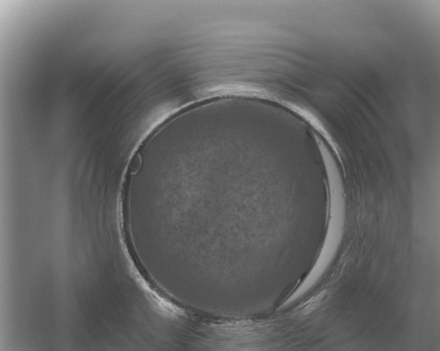 X0000058140999200509302014