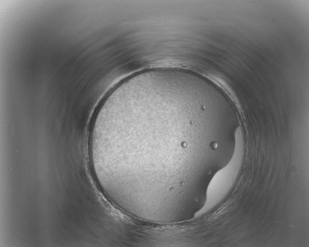 X0000058141000200509302014