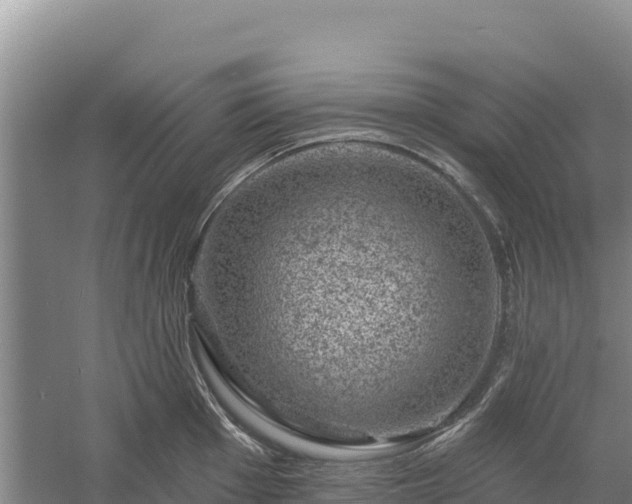 X0000058141001200509302014