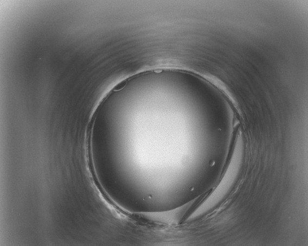 X0000058141006200509302014