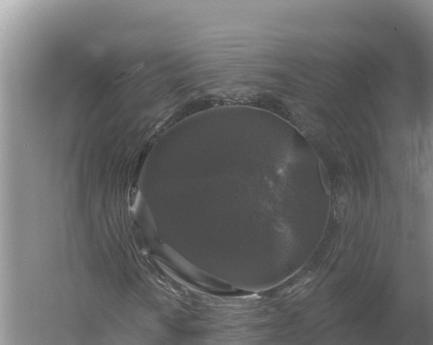 X0000058141010200509302013