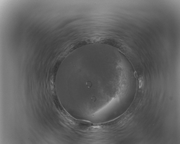 X0000058141011200509302013