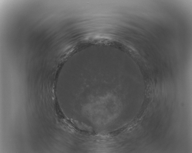 X0000058141013200509302013