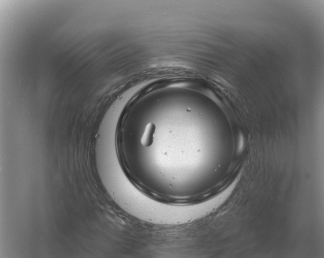 X0000058141014200509302013