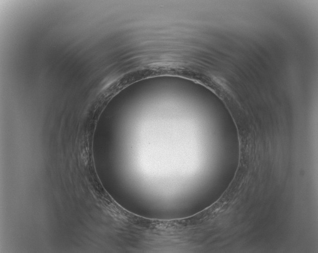 X0000058141015200509302013