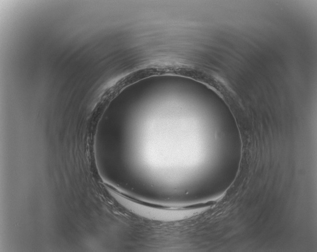 X0000058141016200509302013