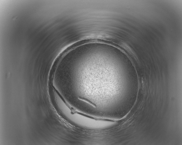 X0000058141020200509302013