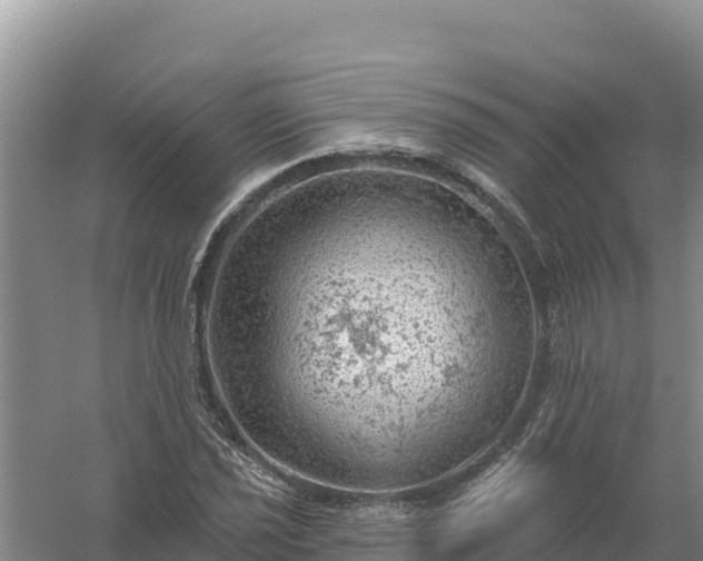 X0000058141021200509302013