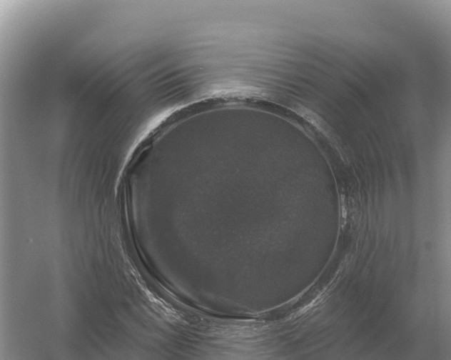 X0000058141022200509302013