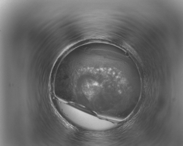 X0000058141028200509302013