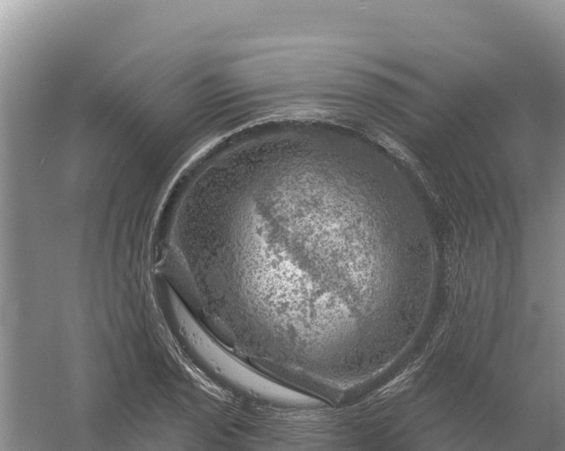 X0000058141029200509302013