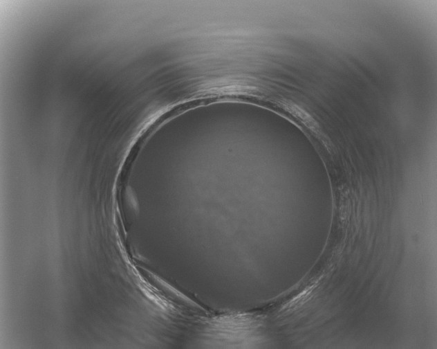 X0000058141031200509302013