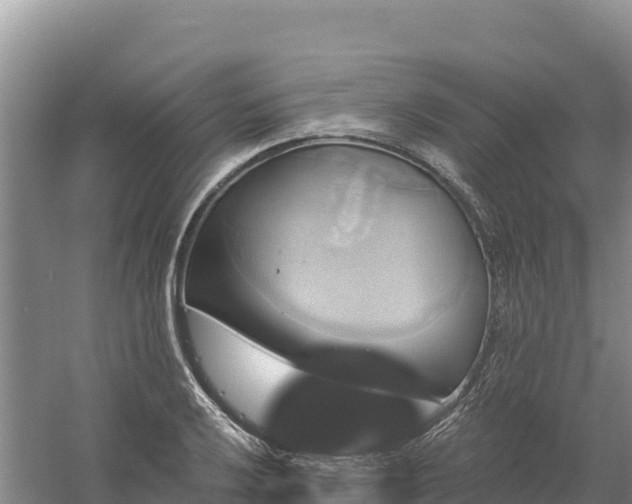 X0000058141032200509302013