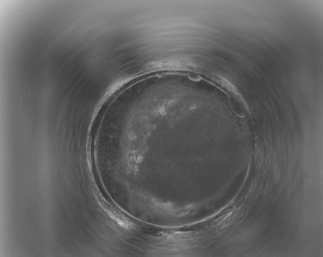 X0000058141035200509302013