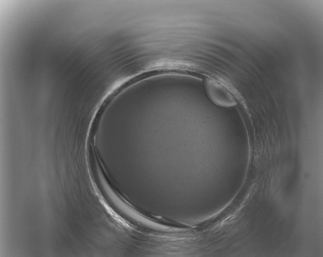 X0000058141037200509302013