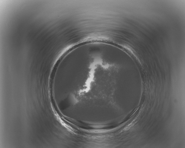 X0000058141038200509302013