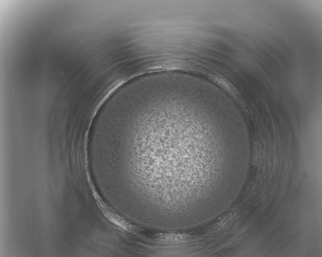 X0000058141039200509302013