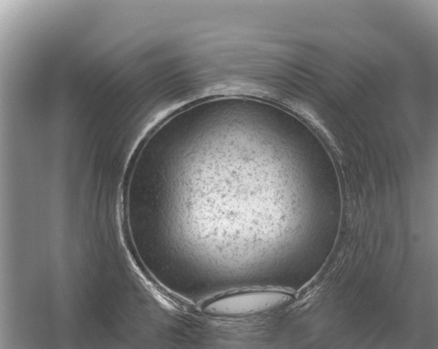 X0000058141040200509302013