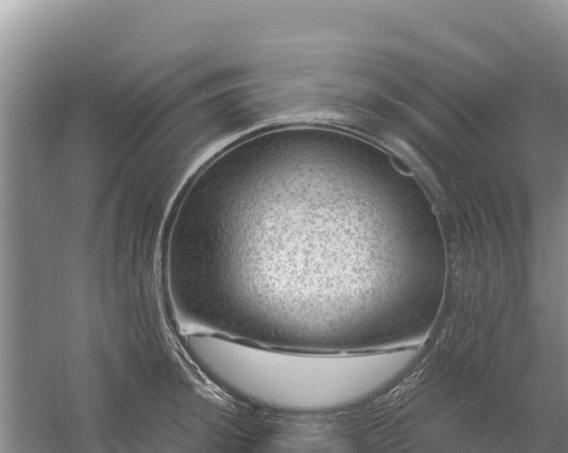 X0000058141044200509302014