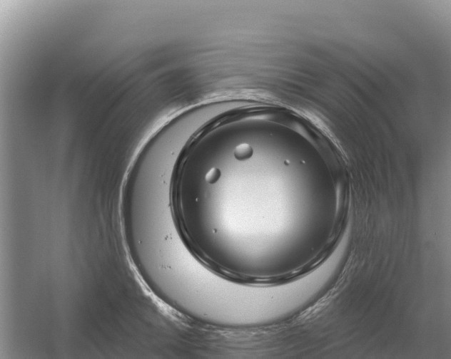 X0000058141046200509302014