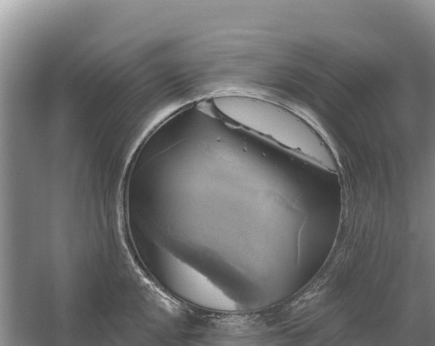 X0000058141048200509302014