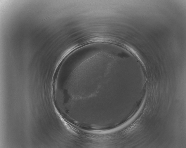 X0000058141050200509302014