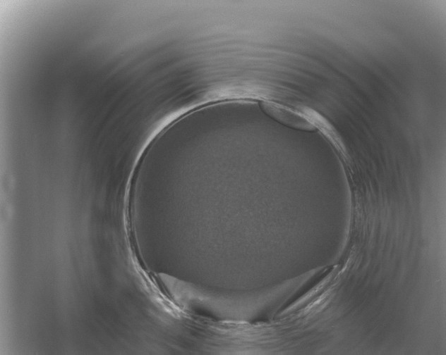 X0000058141052200509302014