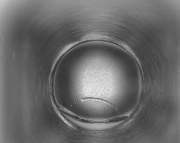 X0000058141053200509302014