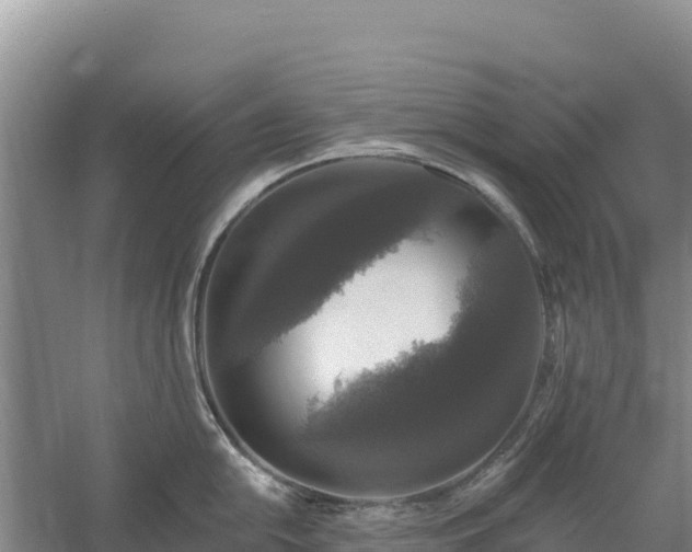 X0000058141054200509302014