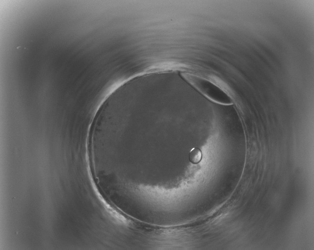 X0000058141055200509302014