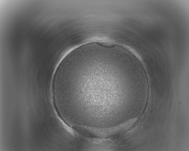 X0000058141056200509302014