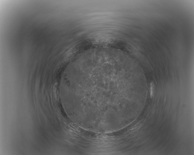 X0000058141059200509302013