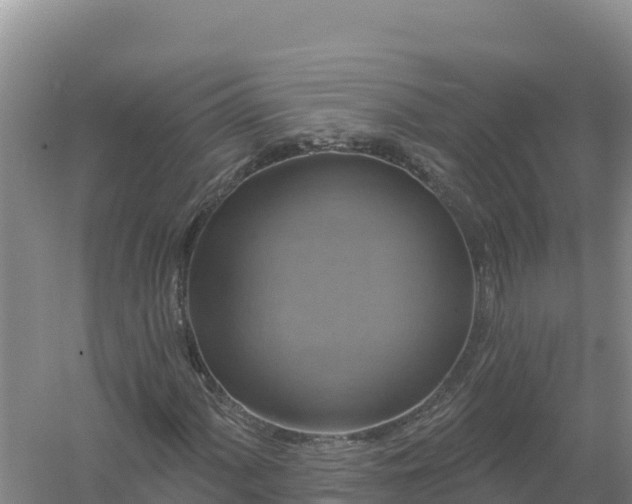 X0000058141060200509302013