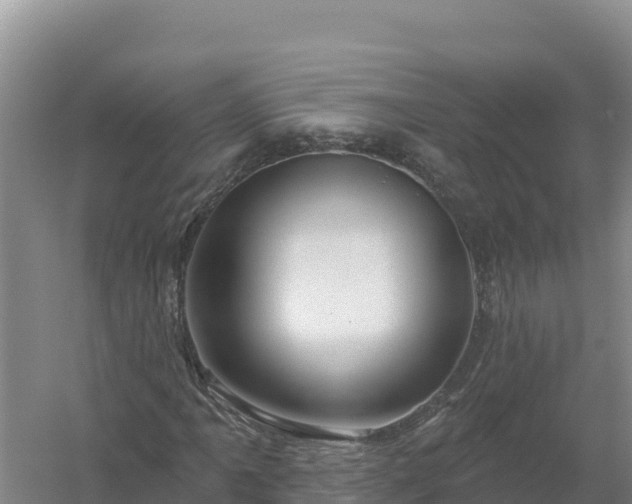 X0000058141061200509302013