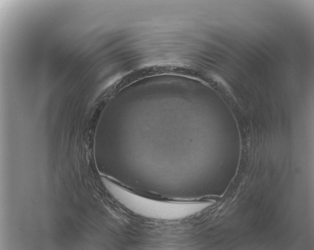 X0000058141064200509302013