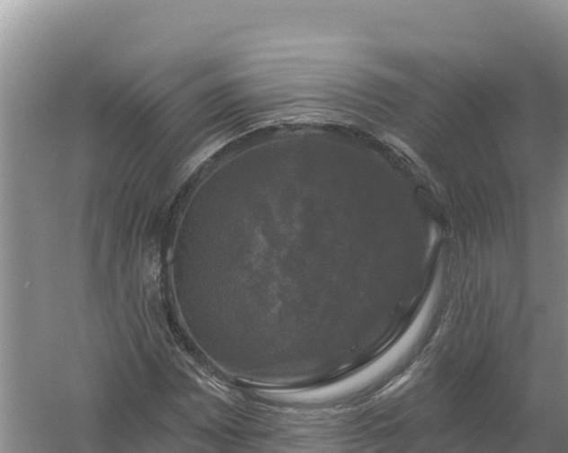 X0000058141065200509302013