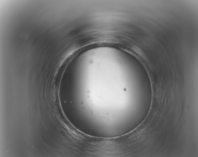 X0000058141067200509302013