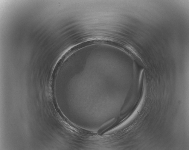 X0000058141068200509302013