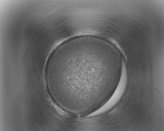 X0000058141072200509302013