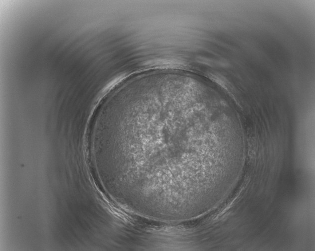 X0000058141074200509302013