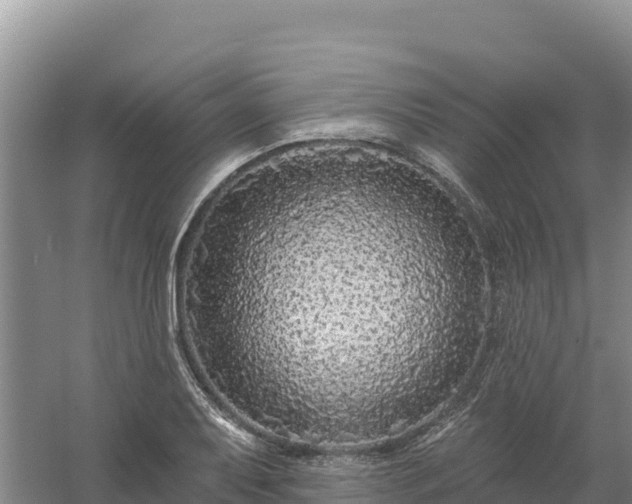 X0000058141079200509302013