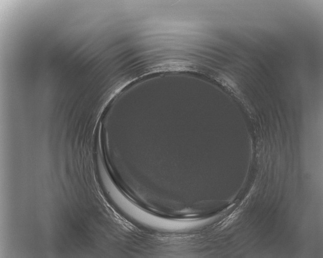 X0000058141081200509302012