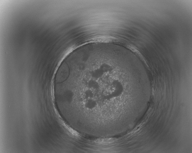 X0000058141083200509302012