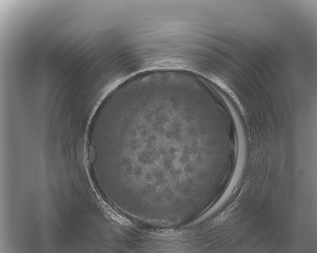 X0000058141085200509302012