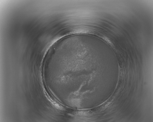 X0000058141086200509302012