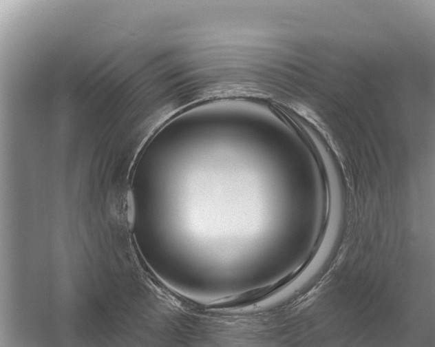 X0000058141089200509302012