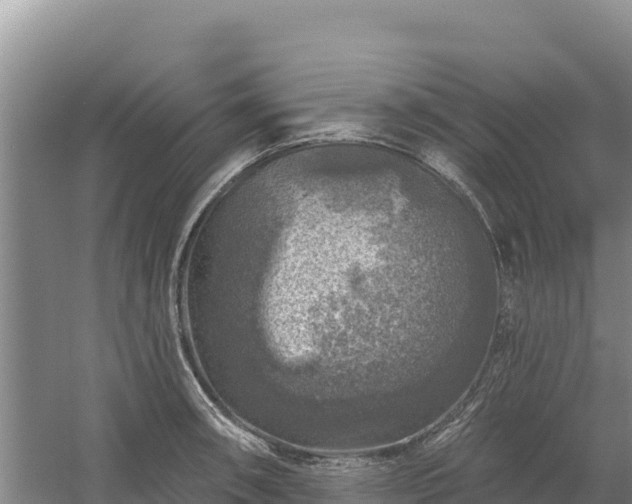 X0000058141090200509302012