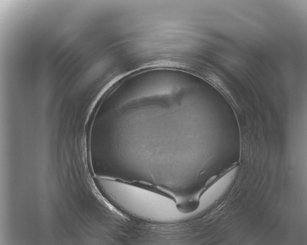 X0000058141092200509302012